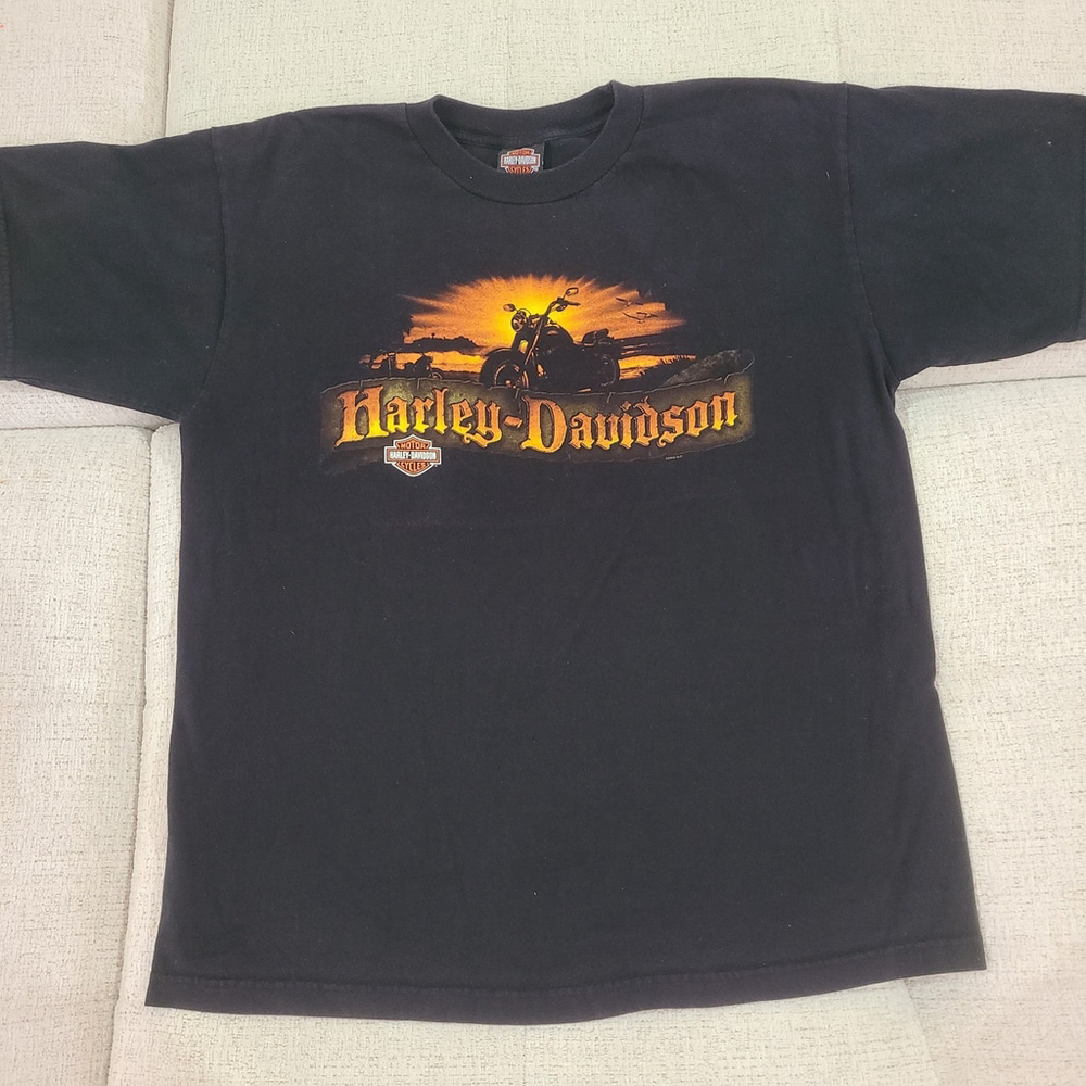 Harley-Davidson Motorcycle T-Shirt XL Black Orange Pigeon Forge TN Graphic Tee